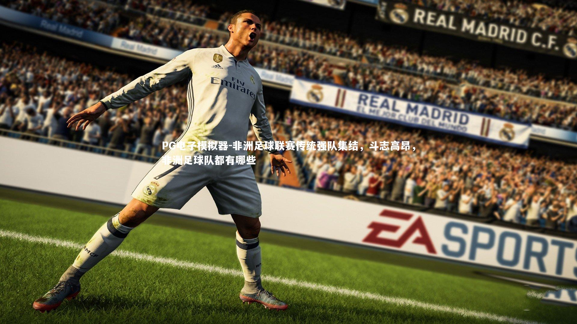 非洲足球联赛传统强队集结，斗志高昂，非洲足球队都有哪些