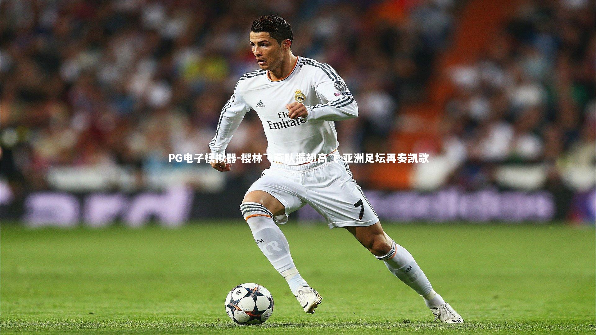 樱林飞燕队振翅高飞 亚洲足坛再奏凯歌